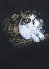 Portrait of cat, Abby, colored pencils and other media, on a twine-woven chair seat