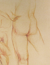 Female nude figures, Derwent Studio Pencils, Prismacolors