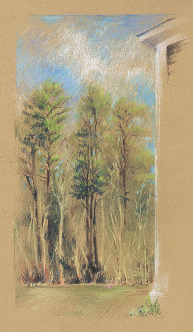 Maine trees and barn, colored pencils on kraft-colored paper